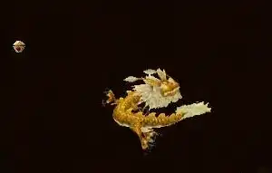 天龙八部扎龙宝宝怎么获取 天龙八部怀旧服升级最快方法