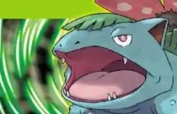 口袋妖怪叶绿386攻略 口袋妖怪叶绿全流程图文通关攻略