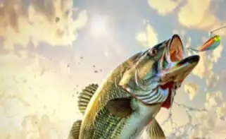 《欢乐钓鱼大师》2024最新兑换码汇总