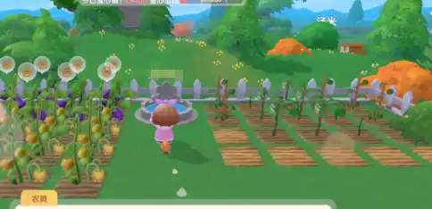 摩尔庄园邻居装饰怎么装扮